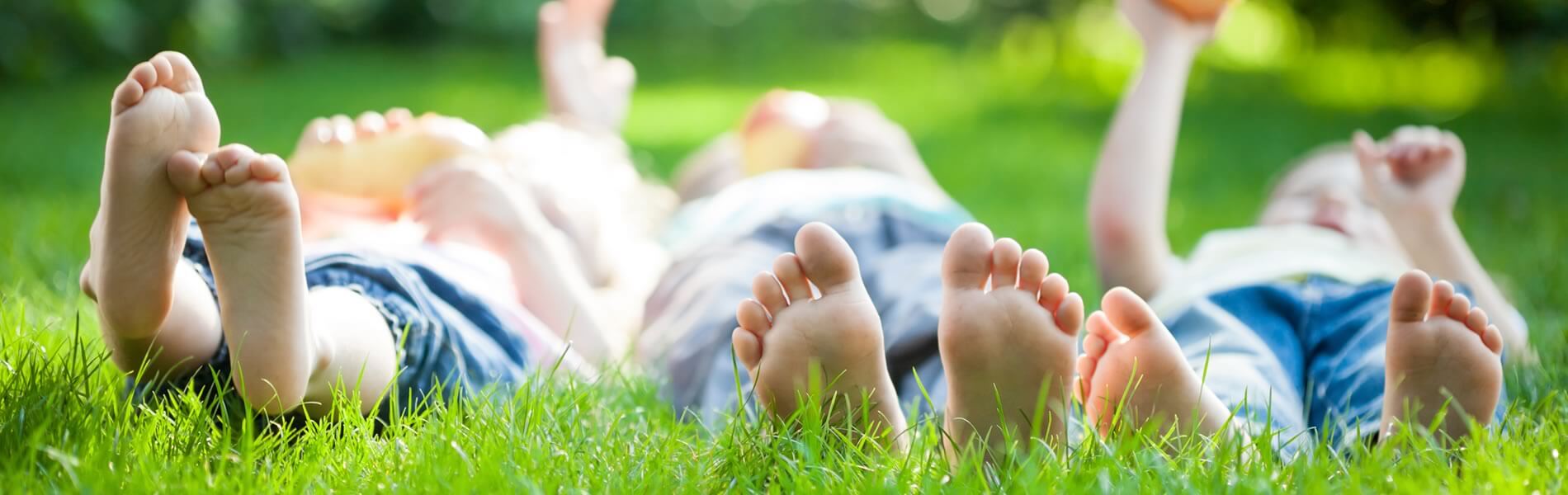 Lawn Care in Victoria Texas